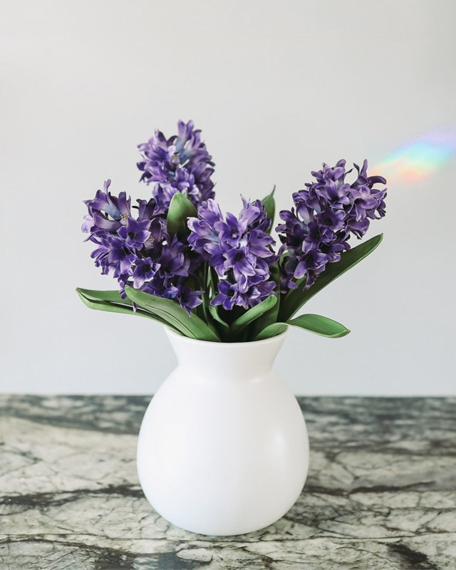Flower Arrangement Deep Purple Hyacinth Clusters Round White Ceramic Vase Decor