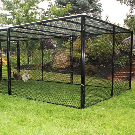 Four-Sided Black Metal Chicken Run Chain Link Mesh