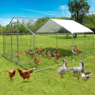 Galvanized Steel Chicken Run with White Tarp Cover
