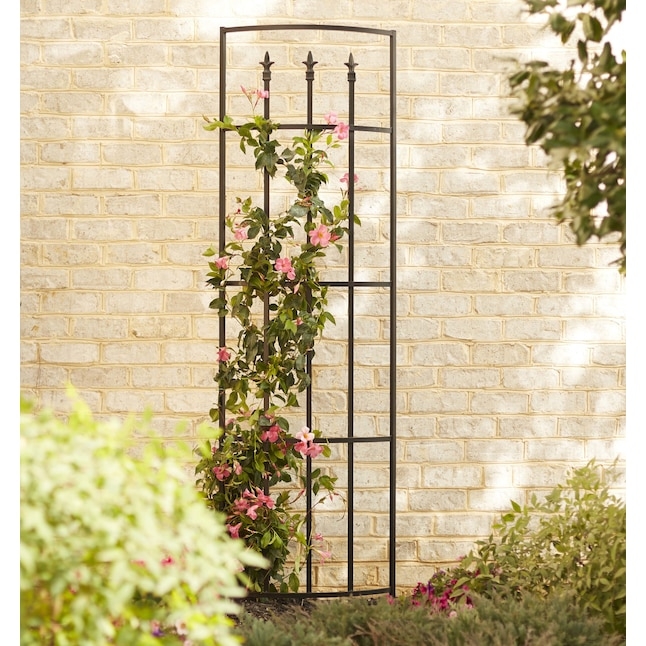 Garden Trellis 78-Inch Tall with Curved Arch Top, Black Metal