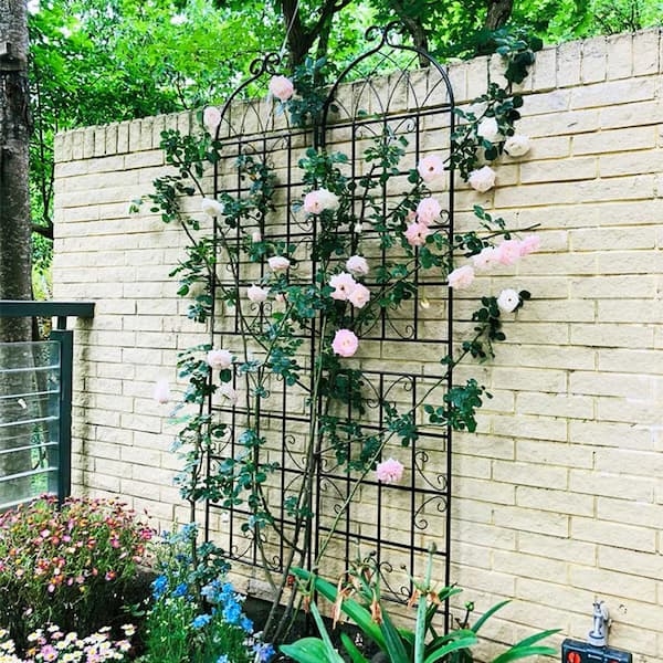Garden Trellis Arched Top for Climbing Roses, Metal Scrollwork