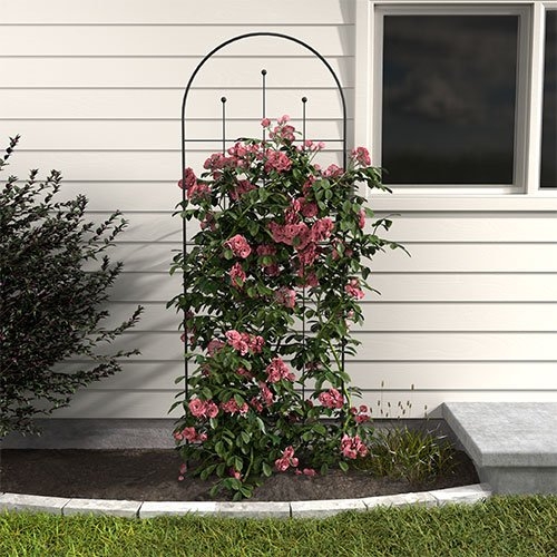 Garden Trellis Arched Top with Ball Finials, 80-Inch Steel