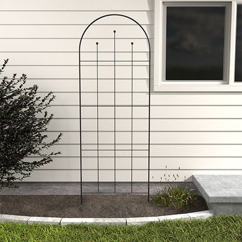 Garden Trellis Arched Top with Spherical Finials, Steel