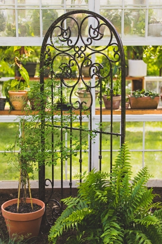 Garden Trellis Heavy Scrollwork Charcoal Brown Metal, Arched Silhouette