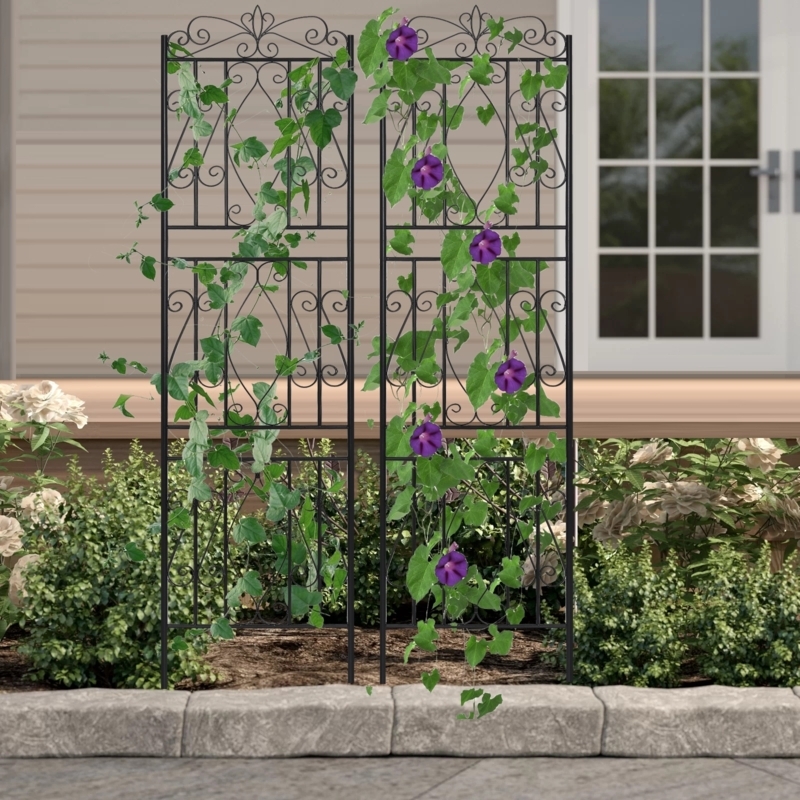 Garden Trellis Set with Fleur-de-Lis Top and Scrollwork, Metal