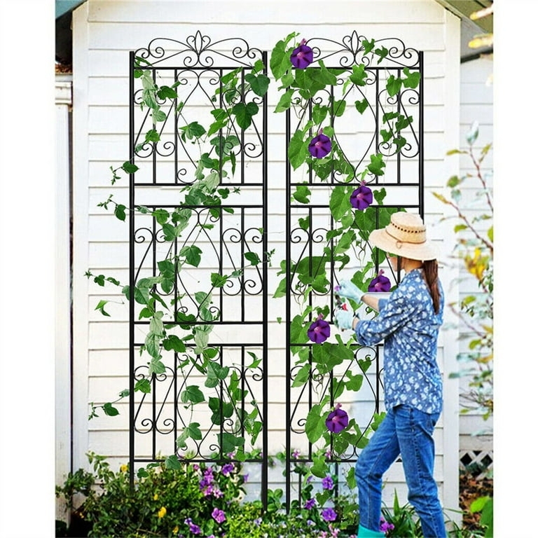 Garden Trellis Set with Scrollwork Top and Diamond Lattice, Black Metal