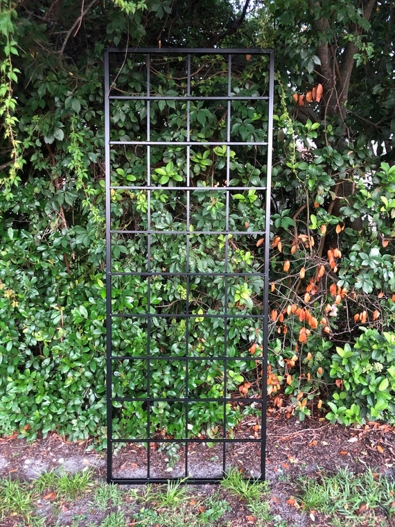 Garden Trellis Tall Rectangular Open Lattice, Minimalist Slim Profile