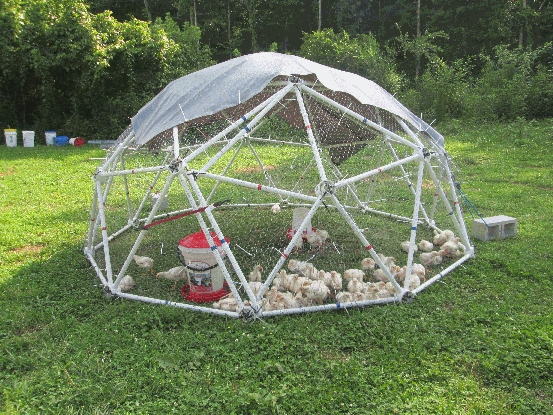 Geodesic PVC Dome Chicken Tractor for Portable Pasture Housing