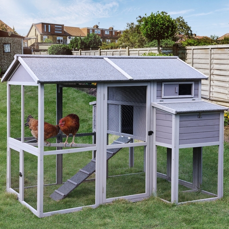 Grey and White Chicken Coop with Integrated Textured Ramp and Run