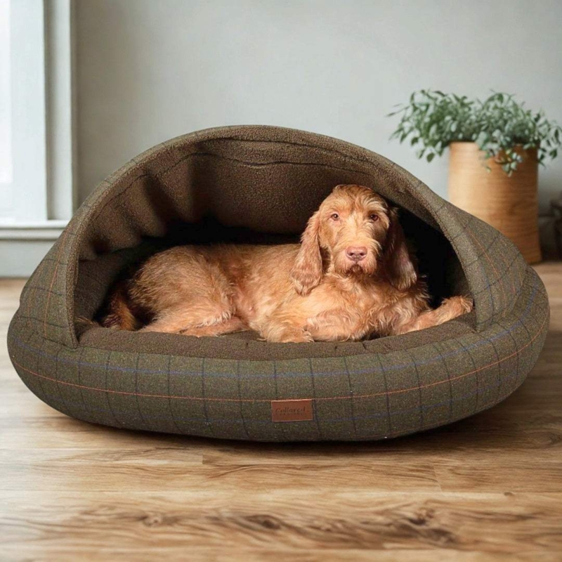Hooded Cocoon Dog Bed featuring Olive and Brown Plaid Tweed Exterior