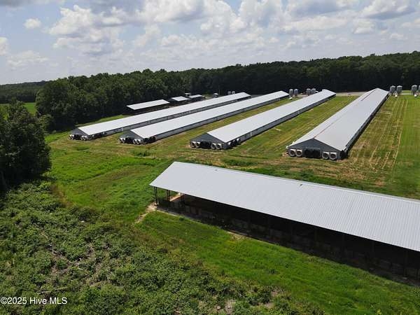 Industrial Poultry Barns, Silver Corrugated Roofing - Industrial Design