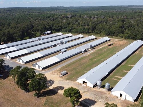 Industrial Poultry Facility with Linear Layout - Georgia Farm Layout