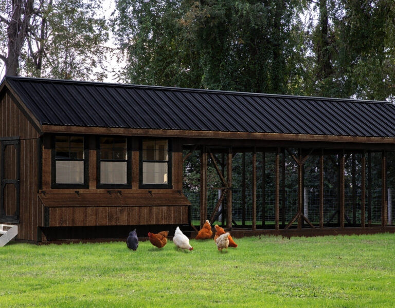 Large Chicken Coop Integrated Run Matte Black Roofing