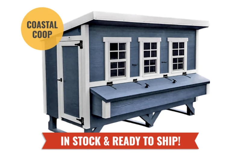 Large Chicken Coop Slate Blue Finish Coastal Farmhouse Design