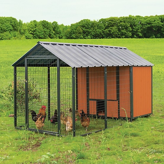 Large Metal Chicken Coop Terracotta Orange Siding and Corrugated Roof