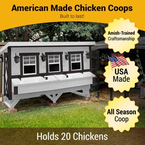 Large Scale Chicken Coop Exterior Lanterns Elevated Base