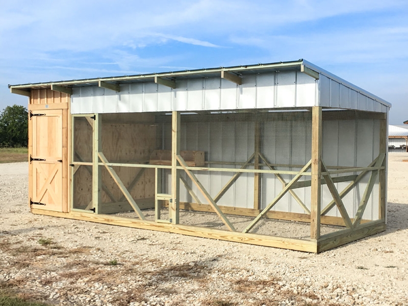 Large Walk-In Chicken Coop Corrugated Metal with Wood X-Bracing