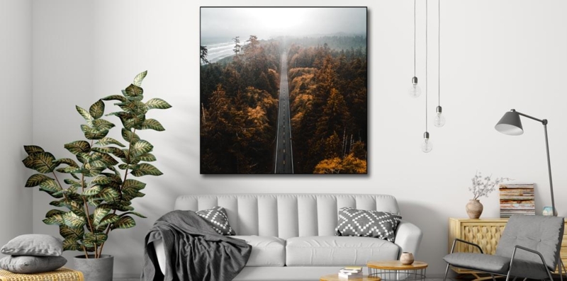 Large Wall Art: Aerial Forest Print in Square Format