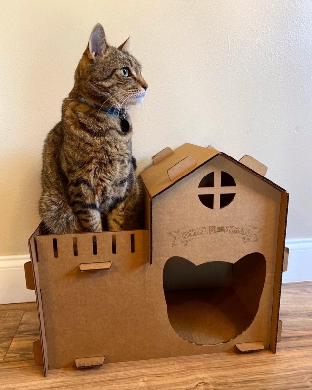 Laser Cut Cat House with Custom Engraving and Wood Toned Gabled Roof