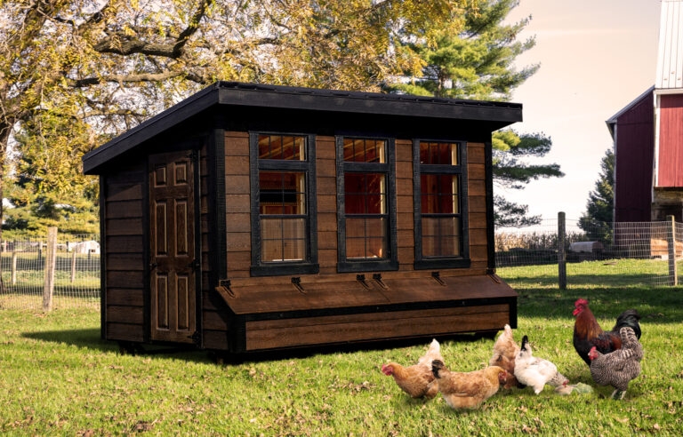Lean-to Chicken Coop Walnut Brown Black Sash Windows