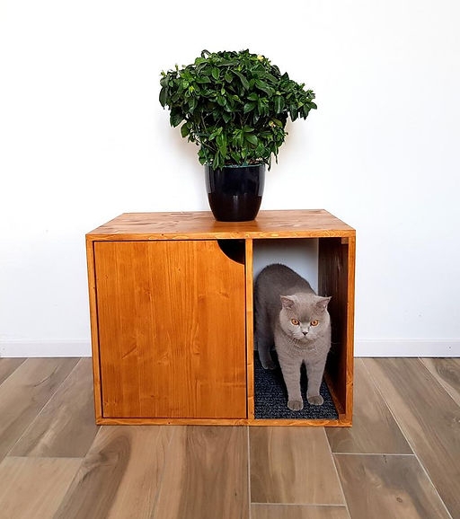 Litter Box Cabinet Honey Wood Minimalist Integrated Entry Mat Scandi Style