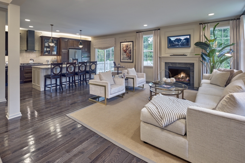 Living Room Set: Transitional Style with Gold Accent Furniture Styling