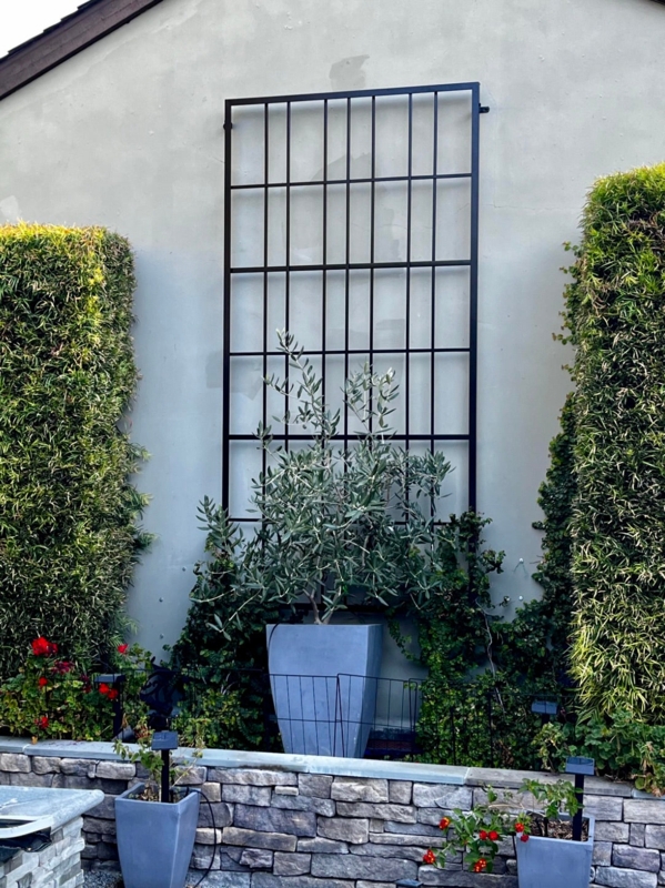 Metal Trellis Urban Overlap Grid Pattern, Wall Mounted Standoffs