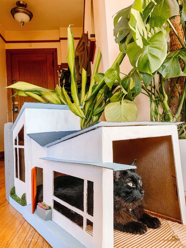Mid-Century Cardboard Cat House with Shed Roof and Geometric Windows