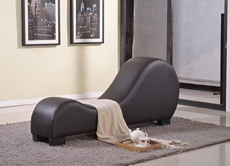 Minimalist S-Curve Chaise Lounge with Ergonomic Contour and Padded Frame