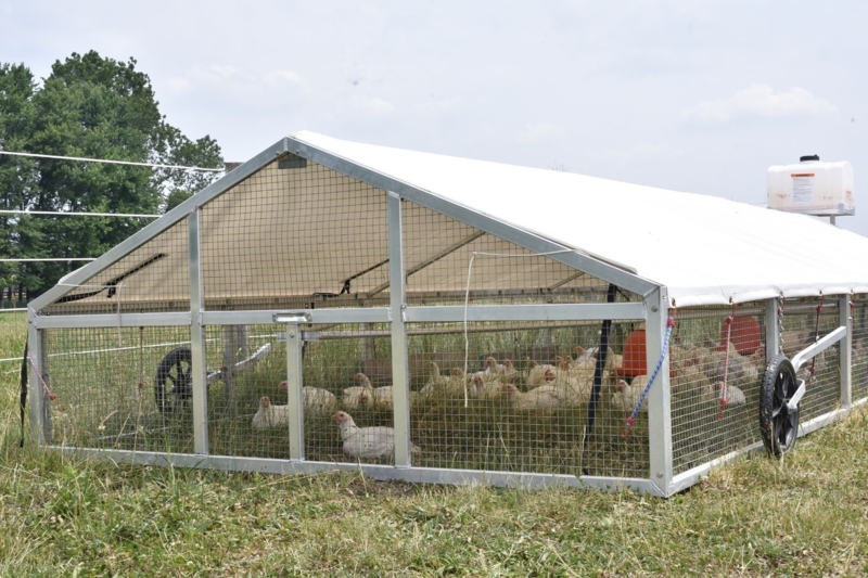 Mobile Broiler Coop 9x24 Footprint with White Fabric Tarp Roof