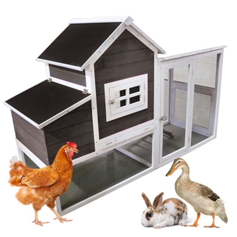 Modern Chicken Coop with High Contrast Trim - Charcoal Hen House