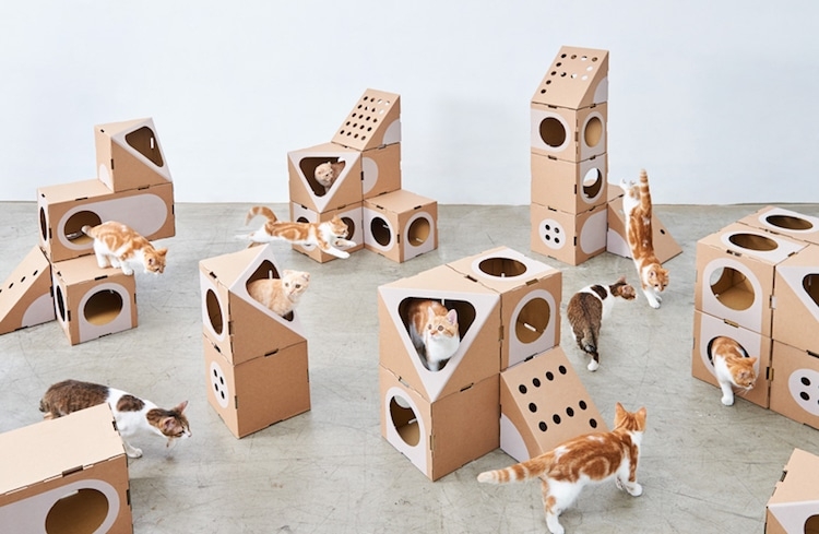Cardboard Cat Furniture