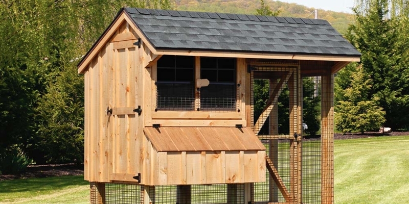 Natural Wood Outdoor Poultry Coop with Gable Roof and Charcoal Shingles