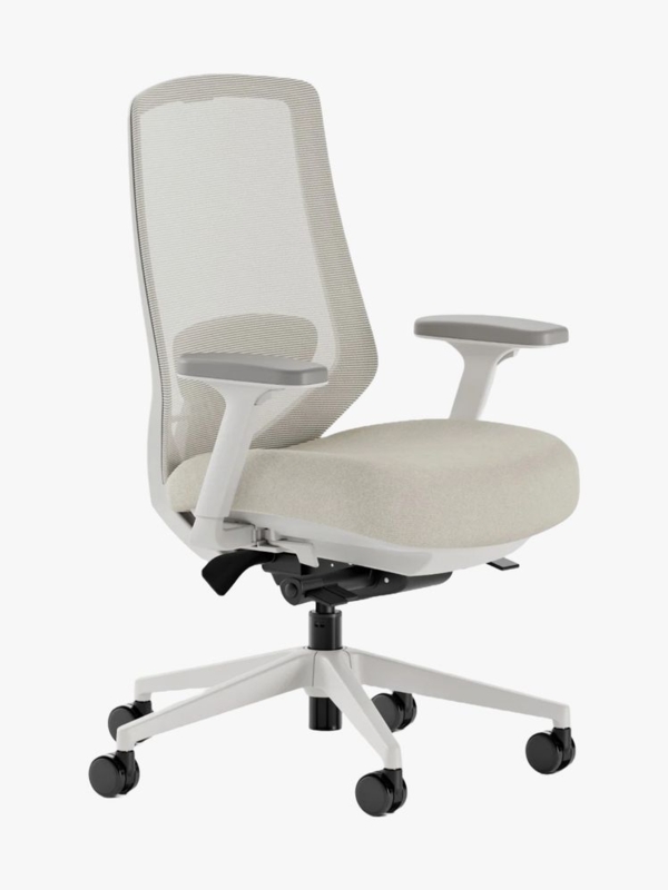 Office Chair Monochromatic Palette, High Mesh Back and Adjustable Arms