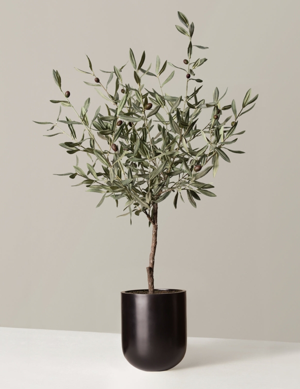 Olive Tree Matte Black Cylindrical Planter Mediterranean Decor