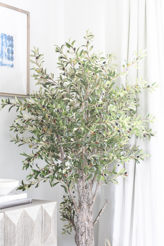 Olive Tree Textured Bark Dense Foliage Organic Modern