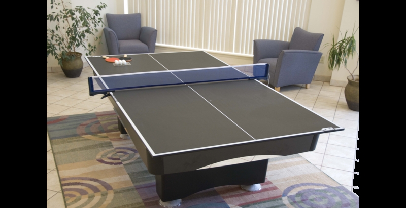 Ping Pong Conversion Top with Blue Mesh Net and Pedestal Base