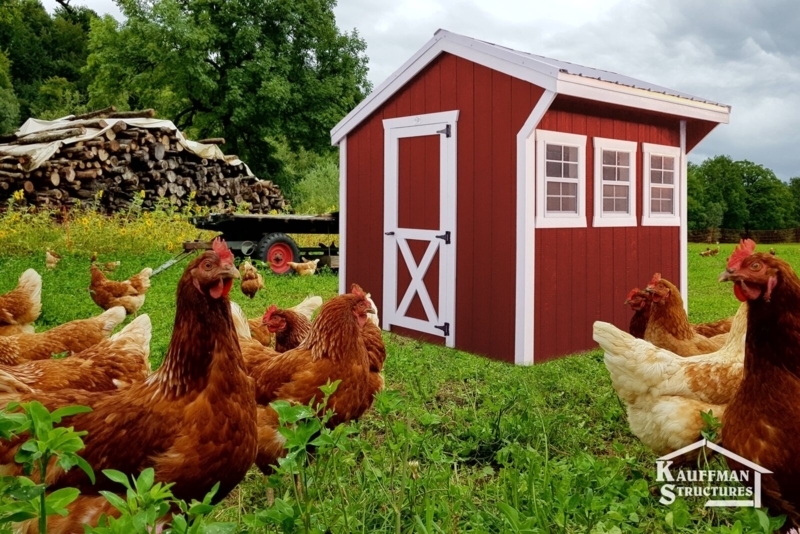 Red Farmhouse Chicken Coop with Crossbuck Door - Barn Style Hen House