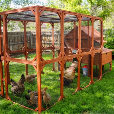 Reddish Brown Walk-In Chicken Coop with Access Ramp