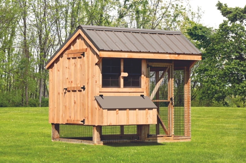 Rustic Wooden Chicken Coop with Gabled Metal Roof and Integrated Run