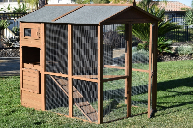 Rustic Wooden Walk-In Chicken Coop Honey Brown with Internal Ramps