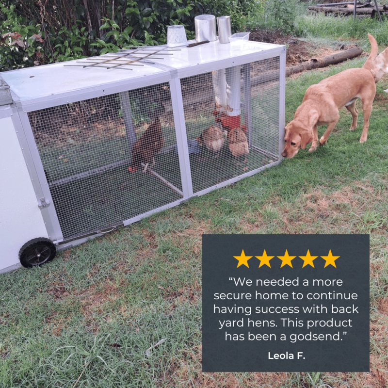 Sleek White Panel Mobile Chicken Coop, Minimalist Enclosure