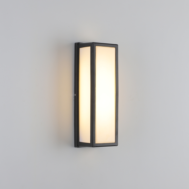 Slim Black Frame Outdoor Wall Light with Frosted Diffuser Panel