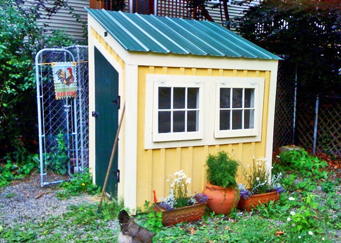 Small Wooden Chicken Coop Pale Yellow Siding Metal Roof