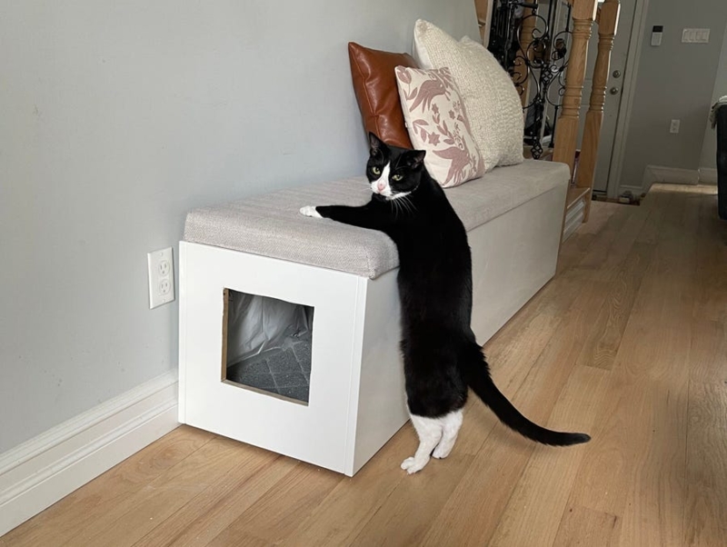Storage Bench, Upholstered Top, Side Entry Cutout, Hidden Litter Box