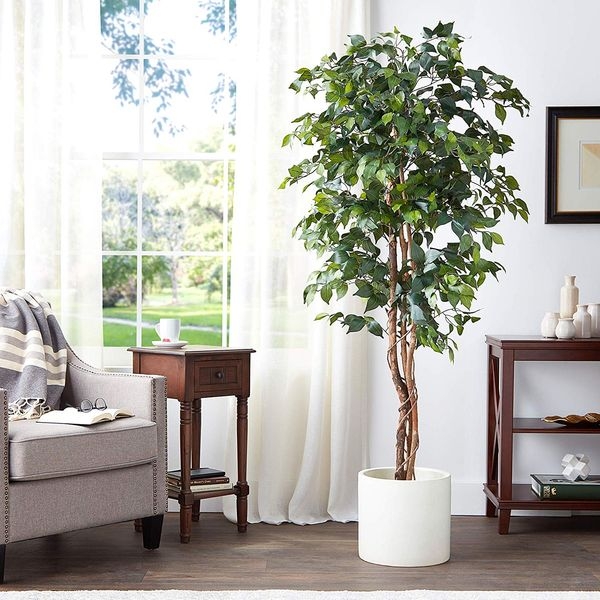 Tall Artificial Ficus Tree Twisted Trunk White Cylindrical Planter