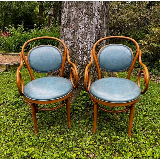Thonet Style Armchair: Scrolled Arms, Dusty Blue Oval Backrest Pad