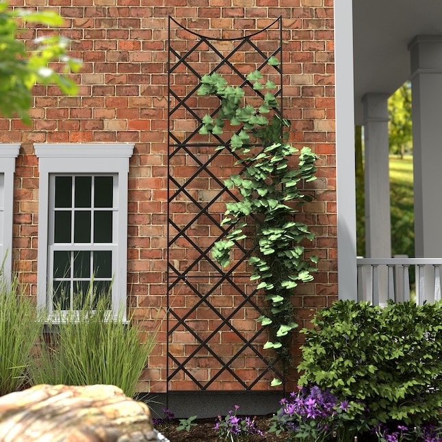 Trellis Giant Oversized Height Diamond Lattice, Arched Top Metal