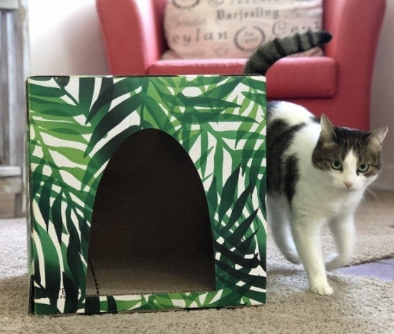 Tropical Leaf Cat House with Botanical Print and Arched Opening