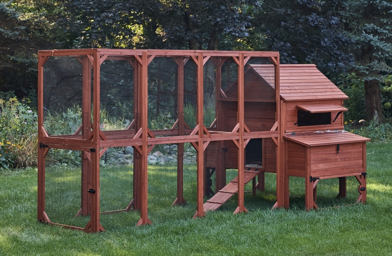 Walk-in Chicken Coop with Run Reddish-Brown Elevated